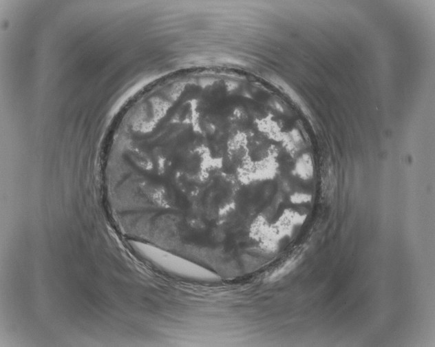 X0000086090975200704202212