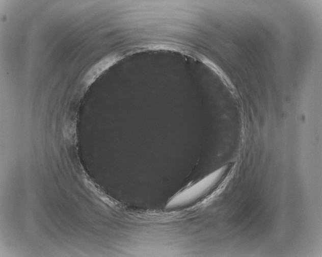 X0000086090977200704202212