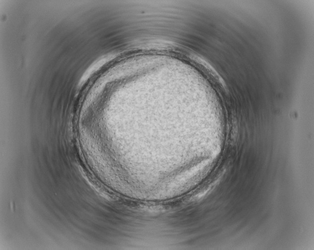 X0000086090978200704202212