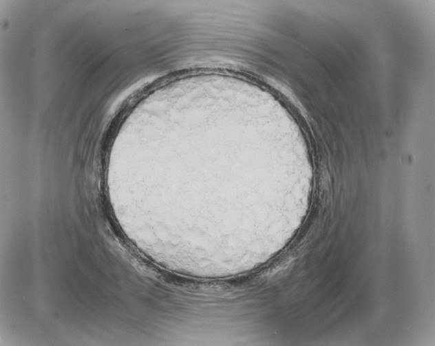 X0000086090979200704202212