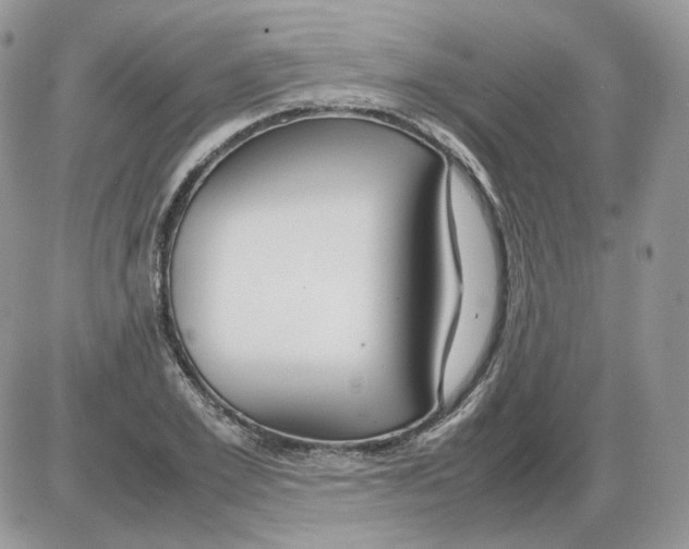 X0000086090981200704202212