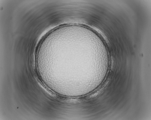 X0000086090982200704202212