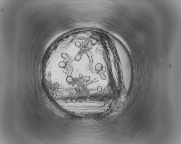 X0000086090983200704202212