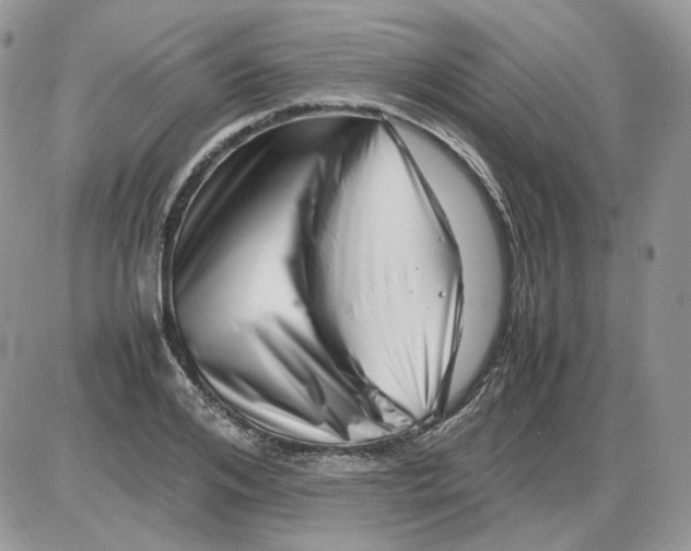 X0000086090984200704202212