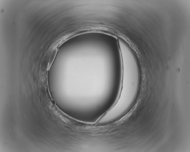 X0000086090985200704202212