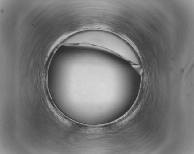 X0000086090989200704202212