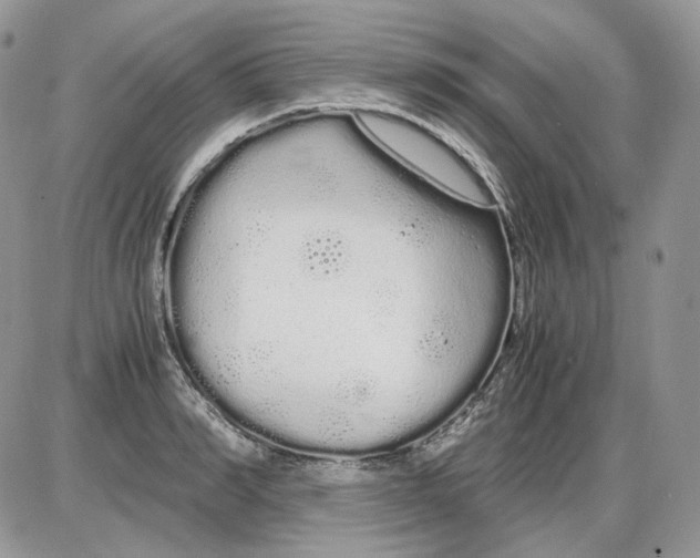 X0000086090990200704202212