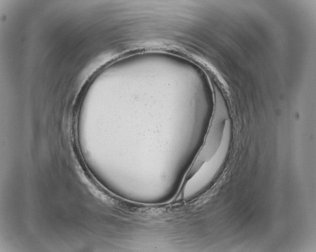 X0000086090991200704202212