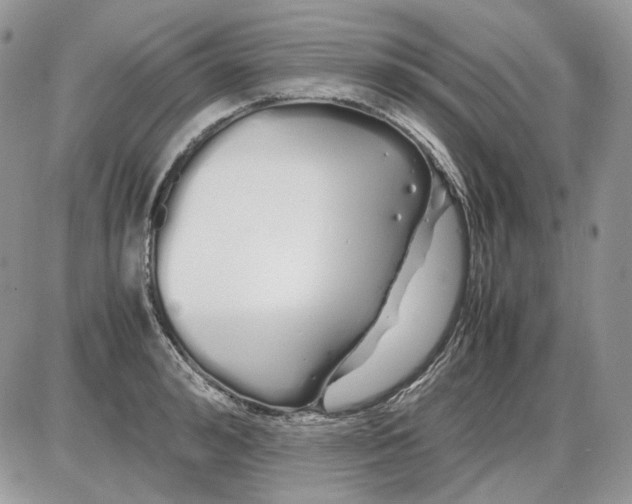 X0000086090992200704202212