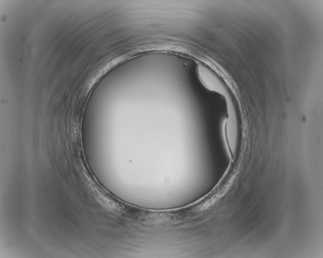 X0000086090993200704202211