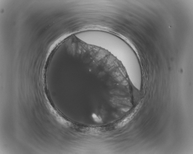 X0000086090995200704202211