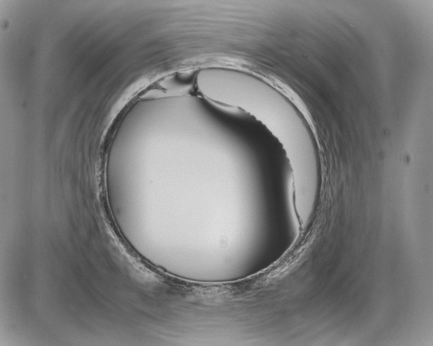 X0000086090997200704202211