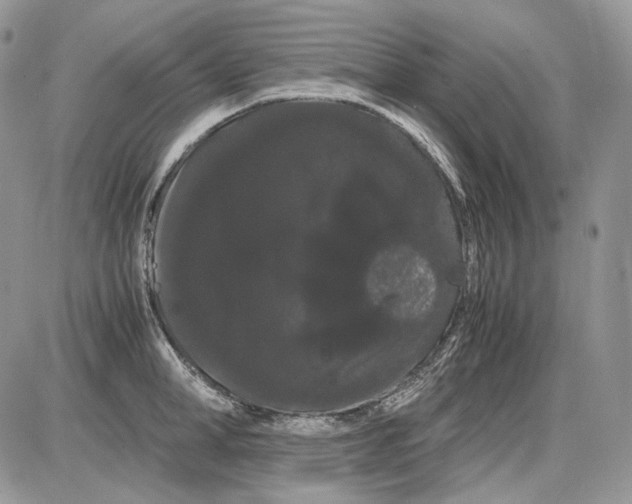 X0000086090998200704202211