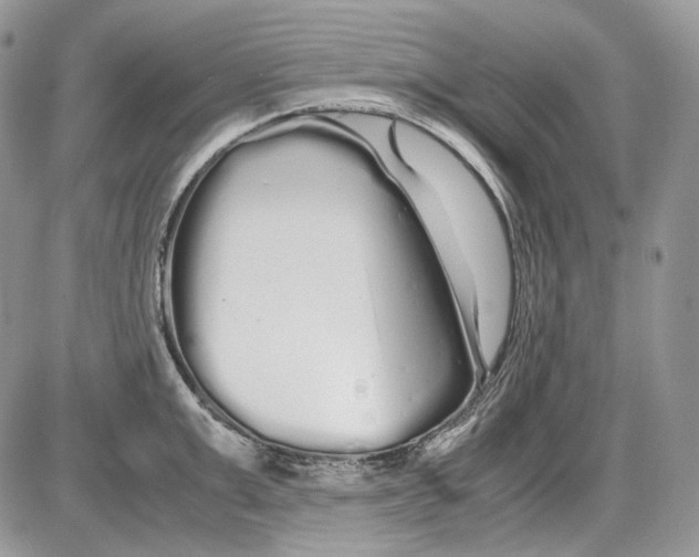 X0000086090999200704202211