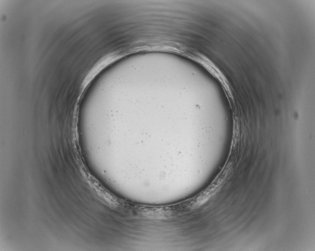 X0000086091002200704202211