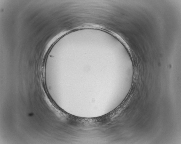 X0000086091003200704202211