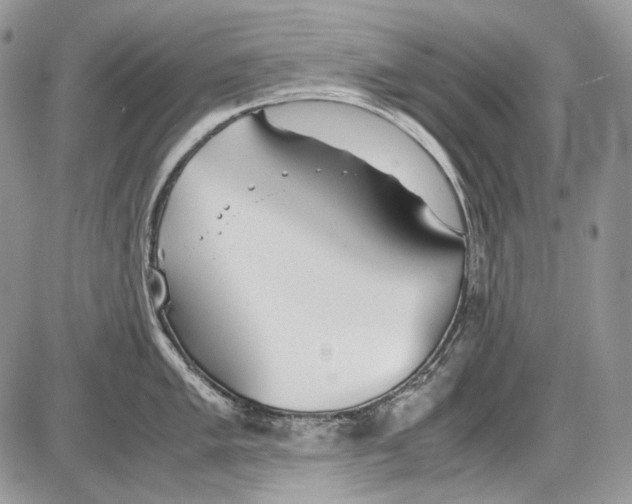 X0000086091005200704202211