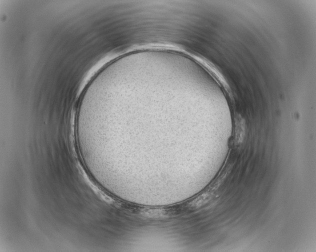 X0000086091006200704202211