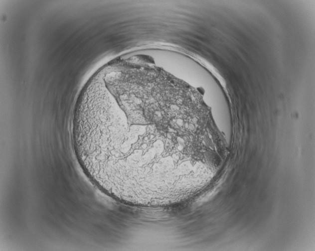 X0000086091007200704202211