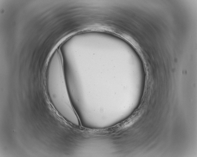 X0000086091008200704202211