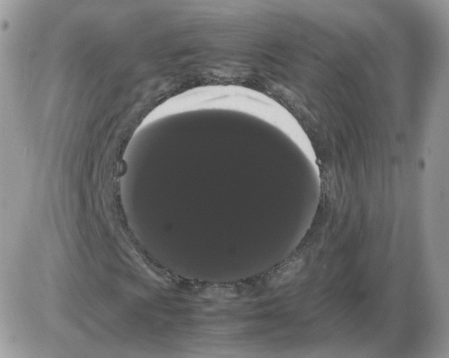 X0000086091009200704202210