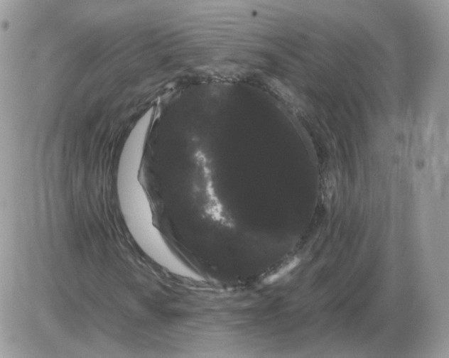 X0000086091010200704202210