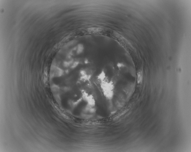 X0000086091011200704202211