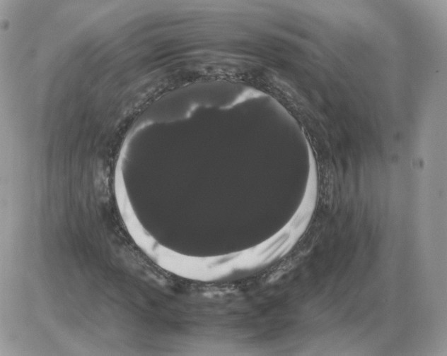 X0000086091013200704202211