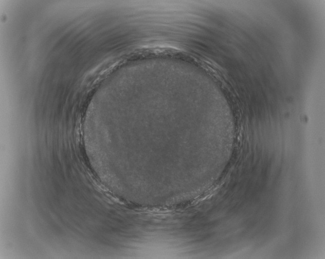 X0000086091014200704202211