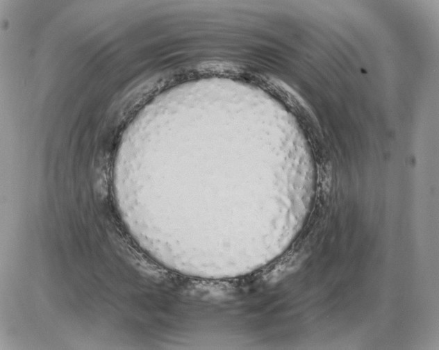 X0000086091015200704202211