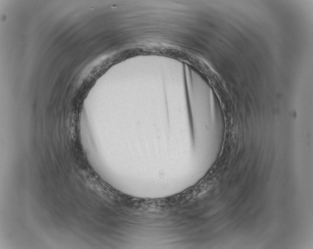 X0000086091016200704202211