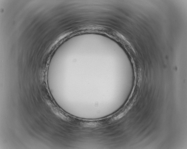 X0000086091017200704202211