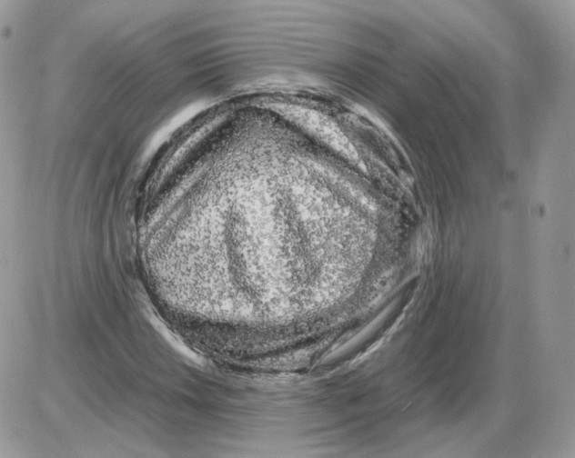 X0000086091018200704202211