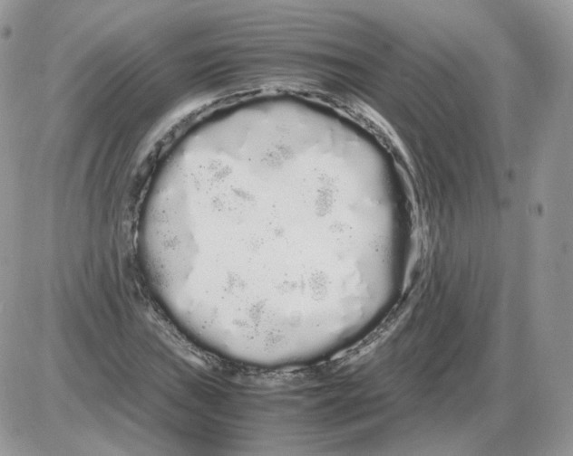 X0000086091019200704202211