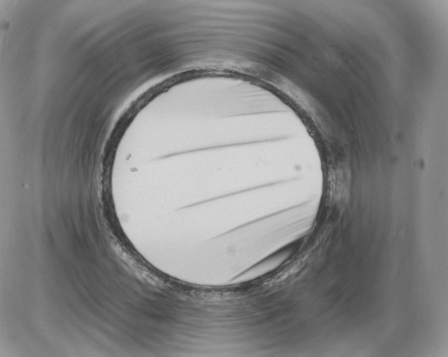 X0000086091020200704202211