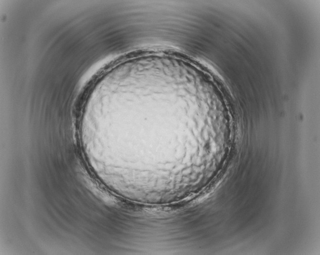 X0000086091022200704202211