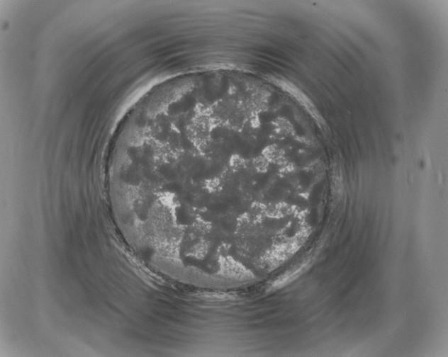 X0000086091023200704202211