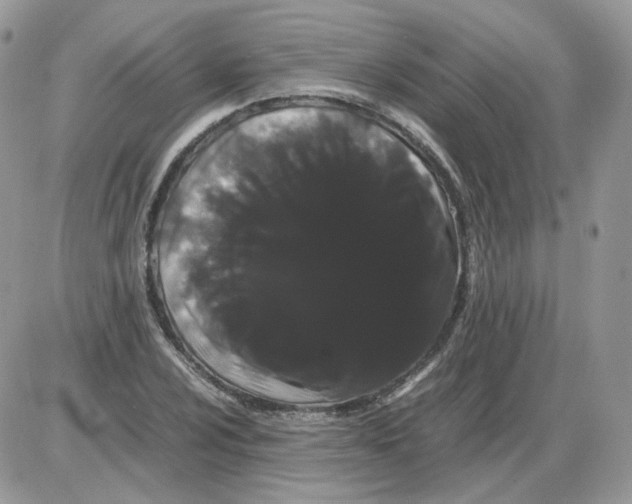 X0000086091024200704202211