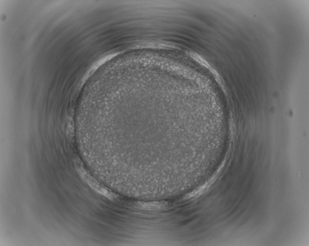 X0000086091025200704202211