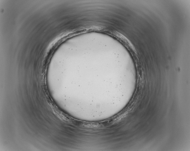 X0000086091027200704202211