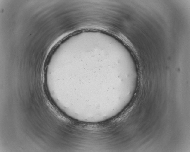 X0000086091028200704202211