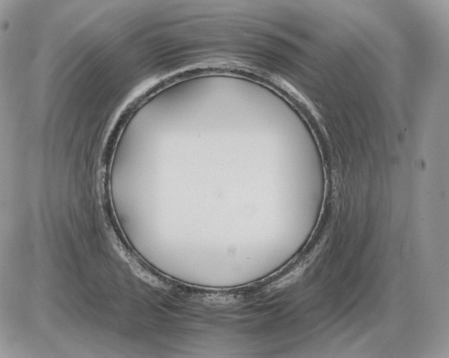 X0000086091029200704202211