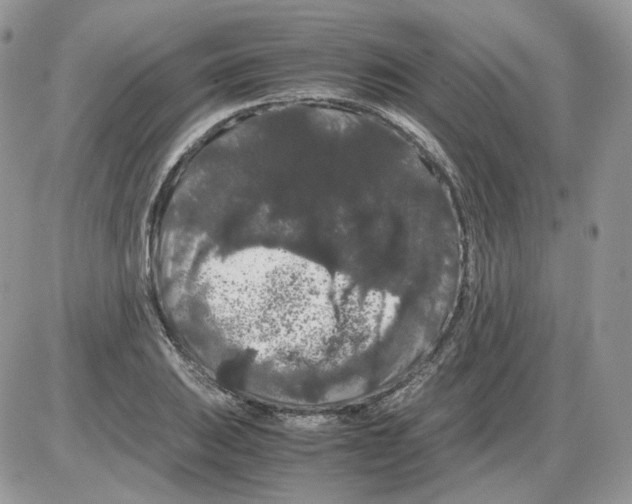 X0000086091031200704202211