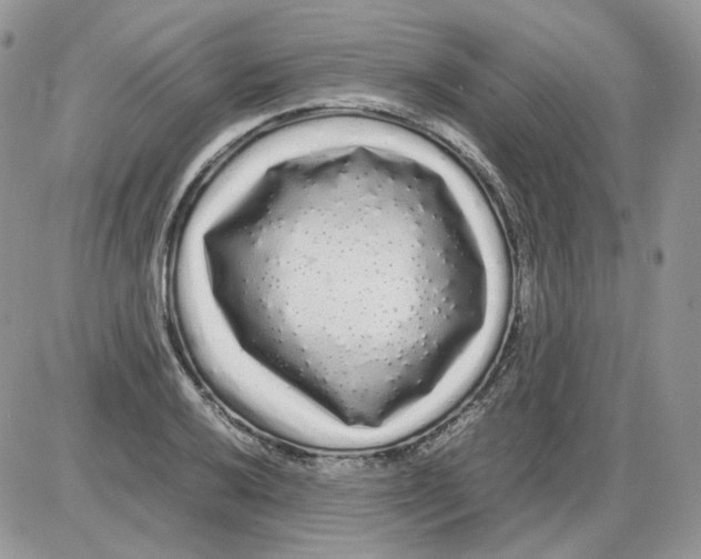 X0000086091032200704202211