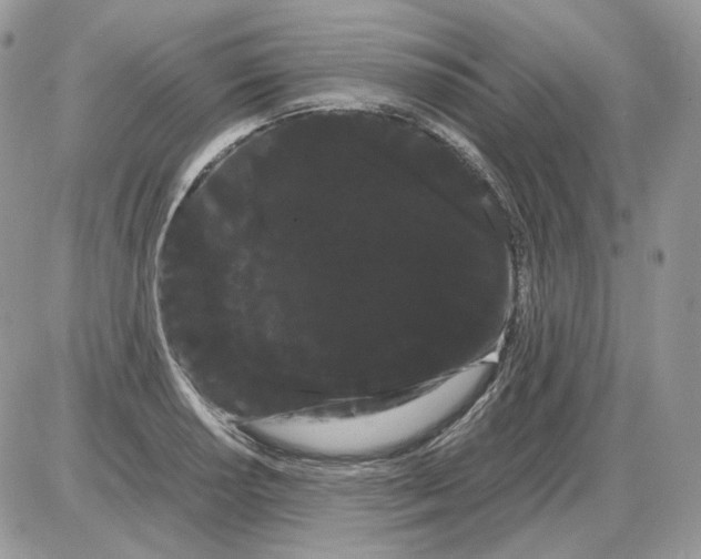 X0000086091034200704202211