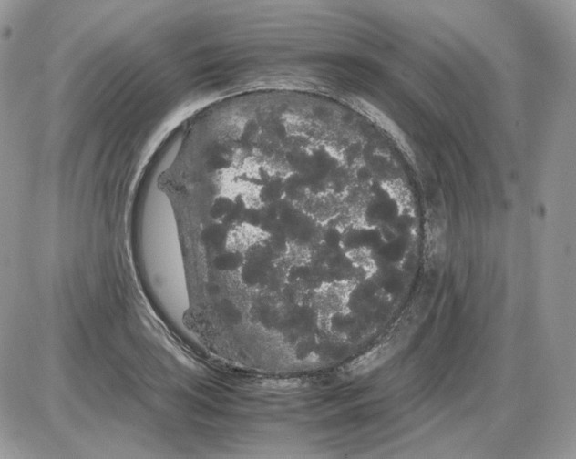 X0000086091035200704202211