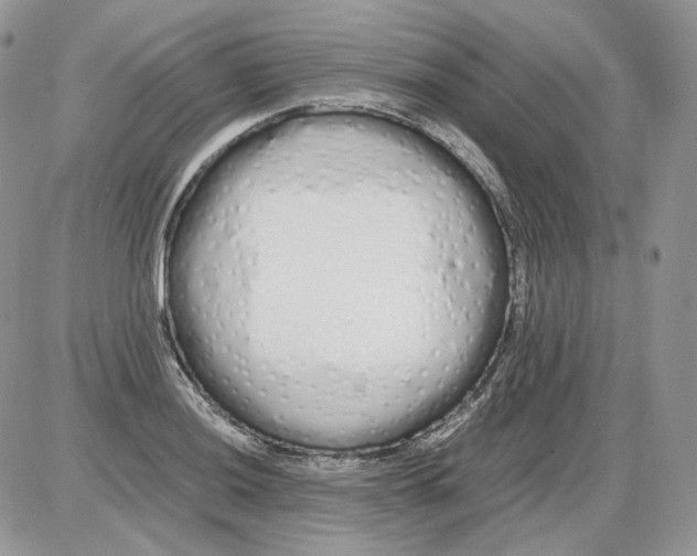 X0000086091036200704202211