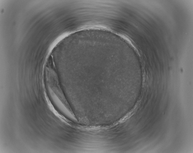 X0000086091038200704202211