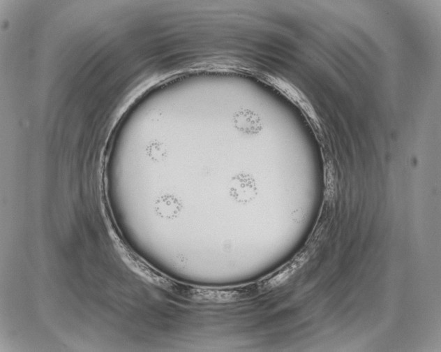 X0000086091039200704202211