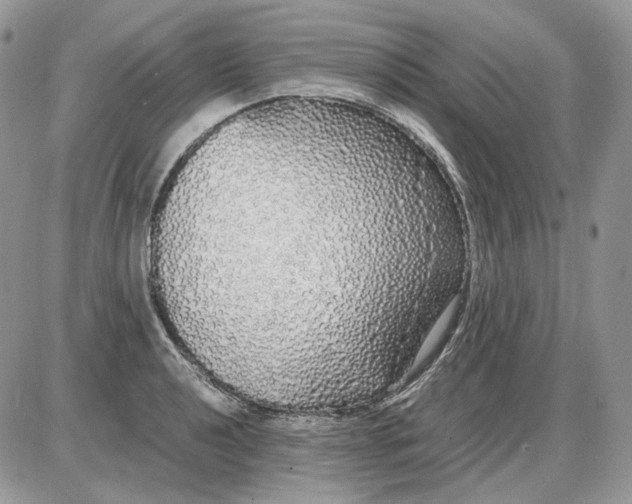 X0000086091040200704202211